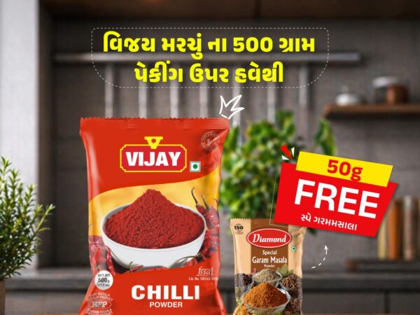 Vijay Chilli Power 500Gm